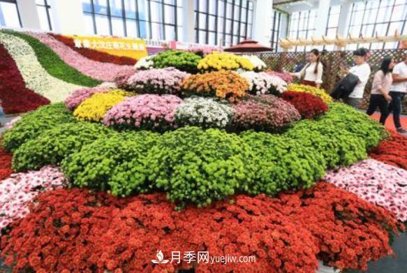 中國花卉協(xié)會(huì )綠化觀(guān)賞苗木分會(huì )介紹(圖1)