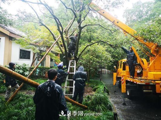 杭州花港多措并舉提升景區園林景觀(guān)(圖1)