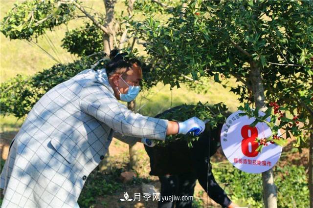擦亮生態(tài)品牌助力鄉村振興，湖北孝昌苗木花卉產(chǎn)業(yè)發(fā)展綜述(圖2)