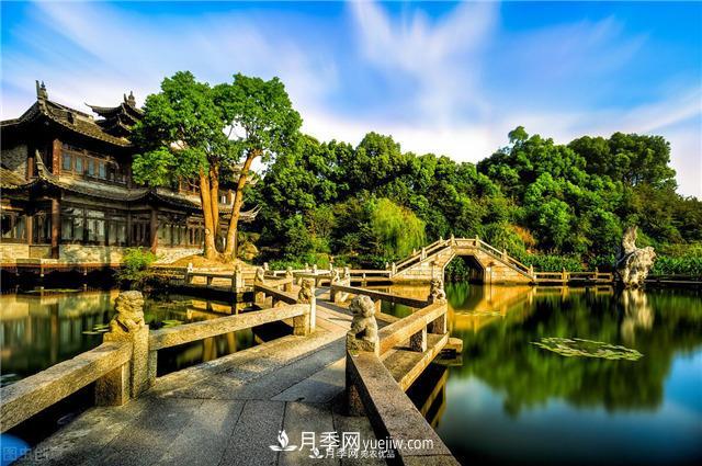 園林綠化樹(shù)苗木的培育技術(shù)，效益可觀(guān)！(圖1)
