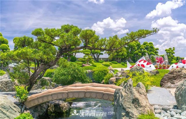 園林綠化樹(shù)苗木的培育技術(shù)，效益可觀(guān)！(圖4)