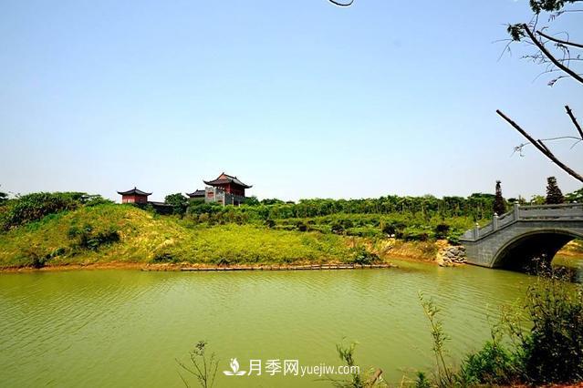 江西南昌天香園走紅，有3萬(wàn)余的盆景，是南昌的“花卉之源”(圖2)