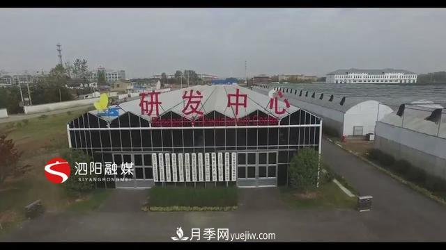 江蘇泗陽(yáng)新境界花卉基地：“花樣”產(chǎn)業(yè)助力鄉村振興(圖1)