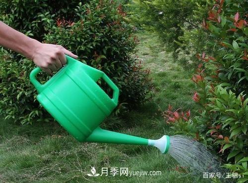 花卉栽培的六大基本工具，你準備好了嗎？(圖2)
