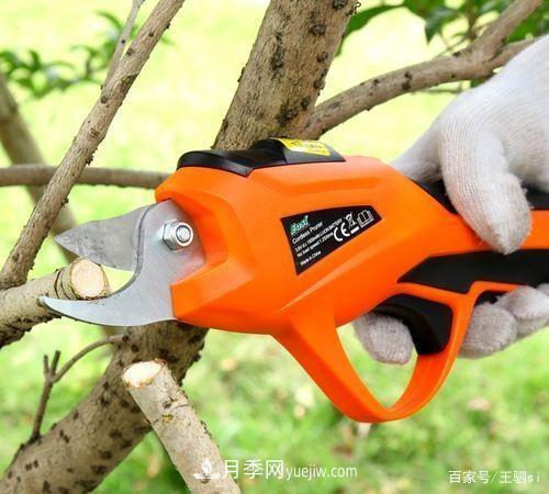 花卉栽培的六大基本工具，你準備好了嗎？(圖4)