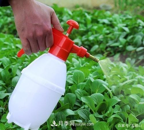 花卉栽培的六大基本工具，你準備好了嗎？(圖3)
