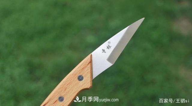 花卉栽培的六大基本工具，你準備好了嗎？(圖6)