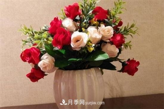 玫瑰花怎么種？玫瑰花種植方法和步驟(圖2)