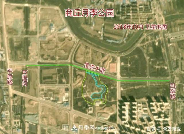 商丘的“市花”和“市樹(shù)”是什么，你能想到了(圖2)