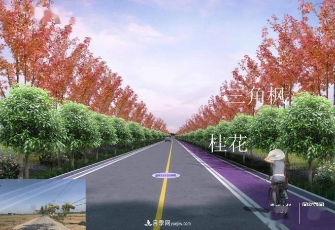 襄陽(yáng)樊城區景觀(guān)“一號公路”下個(gè)月通車(chē)，顏值驚人！(圖5)