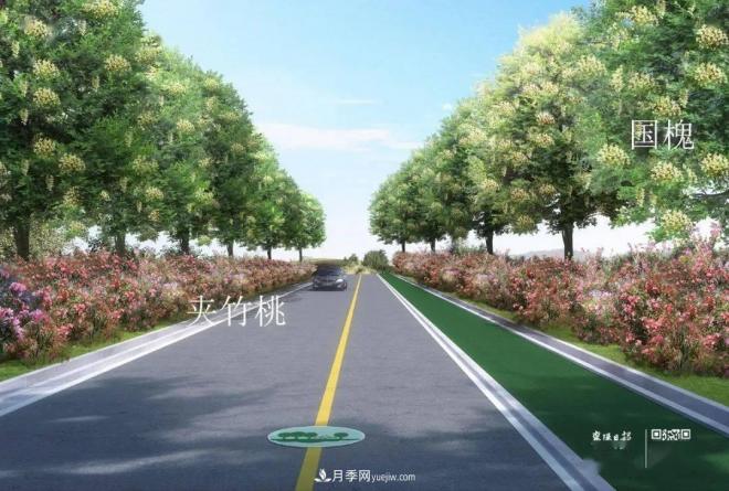 襄陽(yáng)樊城區景觀(guān)“一號公路”下個(gè)月通車(chē)，顏值驚人！(圖7)
