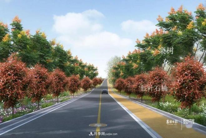 襄陽(yáng)樊城區景觀(guān)“一號公路”下個(gè)月通車(chē)，顏值驚人！(圖6)