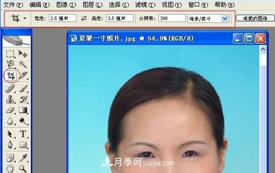 一寸照片的尺寸是多少像素？一寸照片規格PS排版圖文教程(圖1)