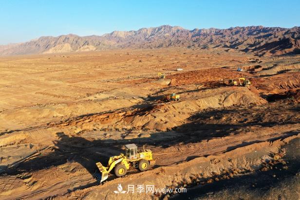 甘肅張掖：元寶楓國家儲備林建設項目加速推進(jìn)(圖1)