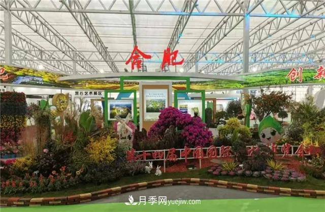 “苗會(huì )”美麗中國 建設美好安徽——2020合肥苗木花卉交易大會(huì )開(kāi)幕(圖1)