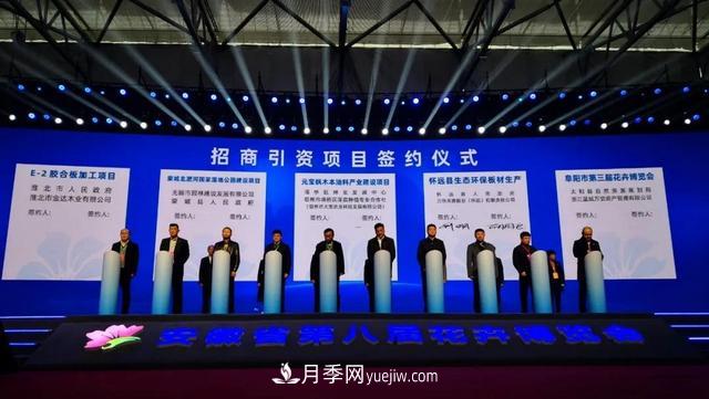 2020合肥苗木花卉交易大會(huì ) 首次實(shí)現“云上辦展”(圖2)