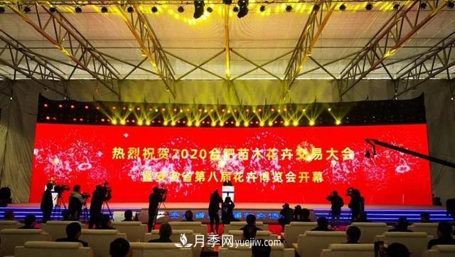 2020合肥苗木花卉交易大會(huì ) 首次實(shí)現“云上辦展”(圖1)