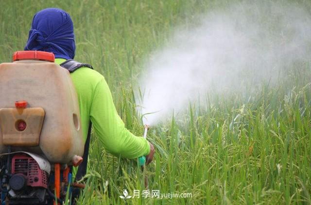 殺蟲(chóng)劑使用過(guò)程中不得不知的誤區(圖1)