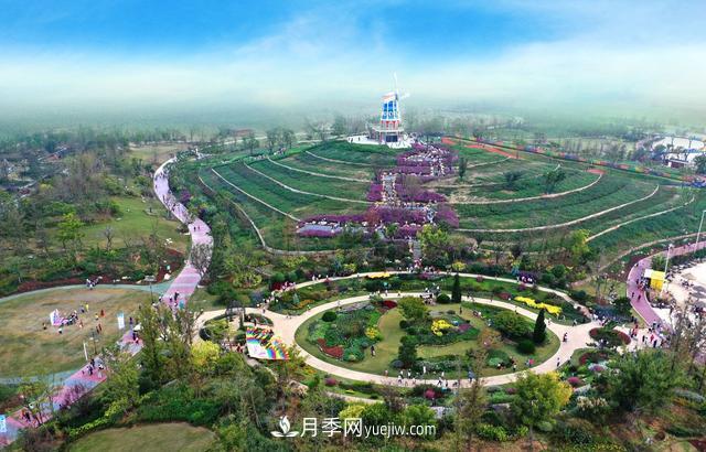 合肥苗交會(huì )簽約77億元，合作成果豐碩(圖3)