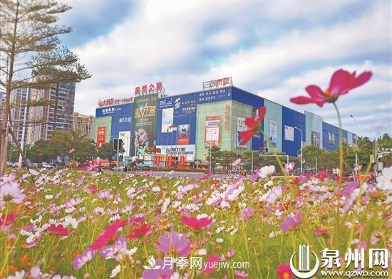 泉州洛江改造提升綠化景觀(guān)：城區四季有景 市民開(kāi)門(mén)見(jiàn)綠(圖1)