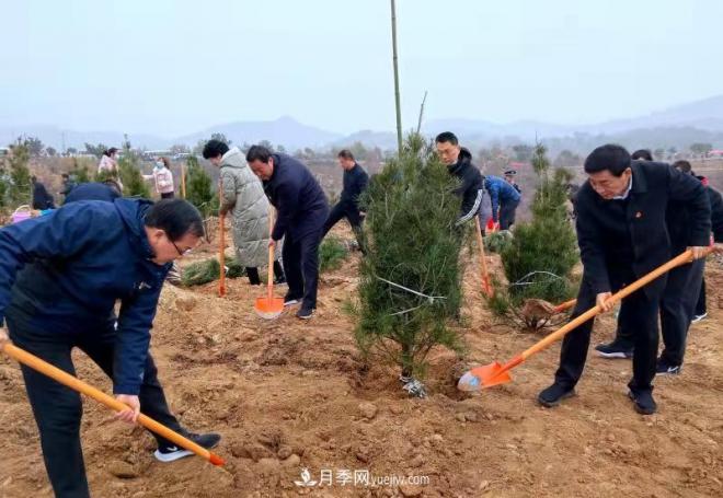 南陽(yáng)市臥龍區：千人同植樹(shù) 共建生態(tài)林(圖1)