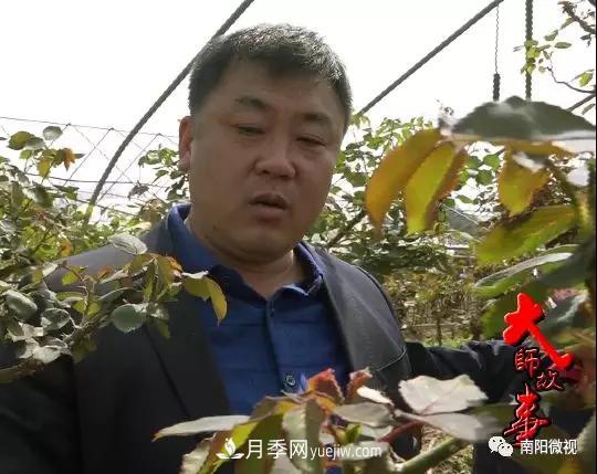 創(chuàng  )新帶動(dòng)南陽(yáng)月季產(chǎn)業(yè)新發(fā)展——王超(圖1)