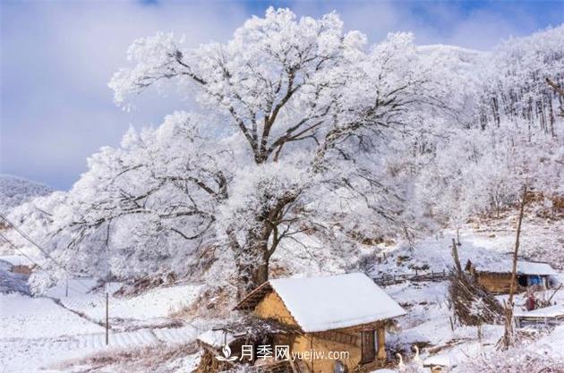 湖北襄陽(yáng)?？担焊呱届F凇美如畫(huà)(圖1)