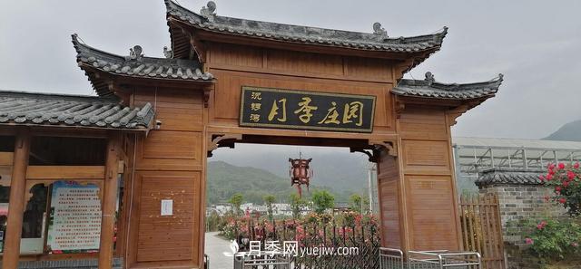 湖北咸寧通城：月季花開(kāi) “綻放”百姓幸福生活(圖6)