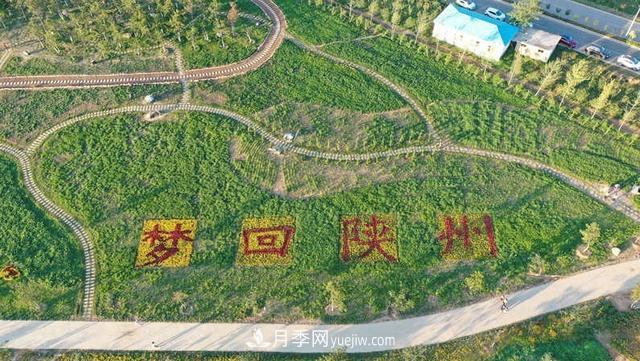 三門(mén)峽陜州區：打造田園綜合體 美了鄉村富了鄉親(圖3)