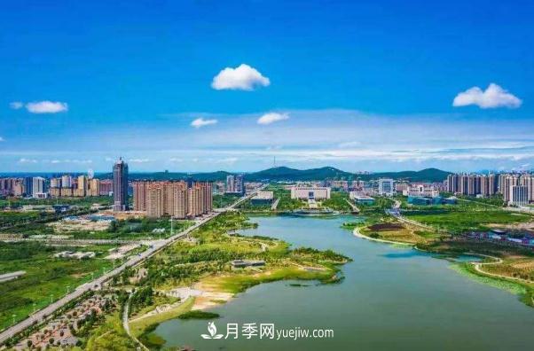 淮南市花、市樹(shù)是什么？是月季嗎？(圖1)