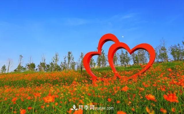 新余凱光植物園，新余人看月季的好地方(圖3)