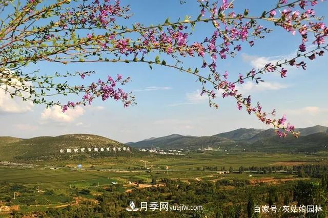 安徽淮北旅游，9個(gè)必去的景點(diǎn)盤(pán)點(diǎn)(圖1)