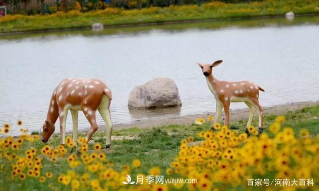 許昌投資2.9億多元，30個(gè)園林綠化項目讓許昌更美！(圖3)