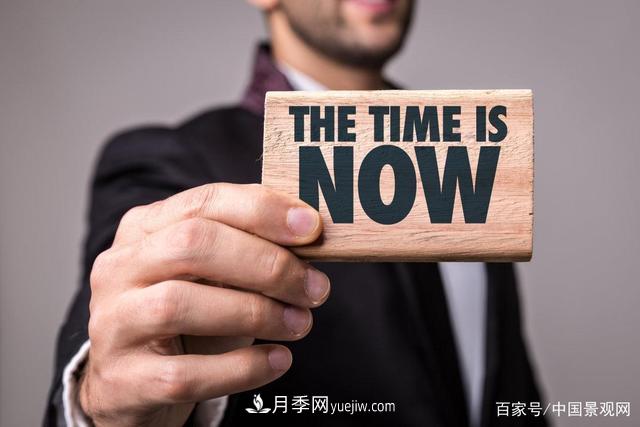 “站在風(fēng)口上，豬都能飛起來(lái)！”園林苗木行業(yè)的下一個(gè)風(fēng)口在哪？(圖1)