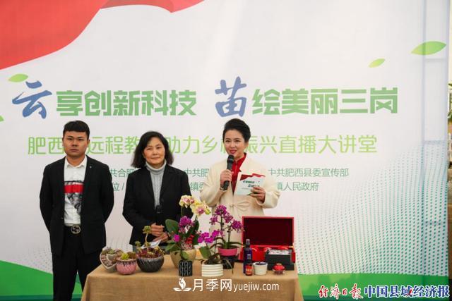 安徽肥西上派鎮：花木之鄉轉型發(fā)展 云享鄉村振興苗木(圖4)