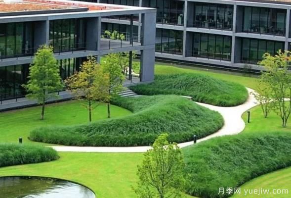 怎樣判斷草坪質(zhì)量的好壞？看4個(gè)評價(jià)指標(圖1)
