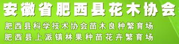 安徽省肥西縣花木協(xié)會(huì )(圖1)