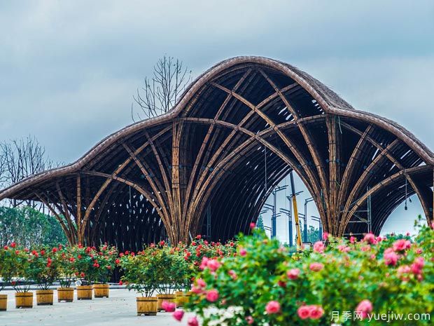 德陽(yáng)月季市花文化和景觀(guān)圖集(圖3)