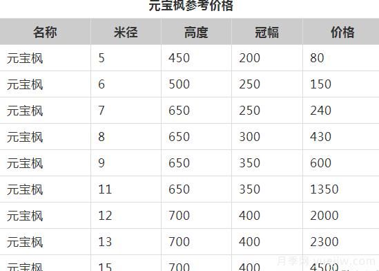 元寶楓的價(jià)格一路上漲，大規格優(yōu)質(zhì)苗一株能賣(mài)上萬(wàn)元(圖1)