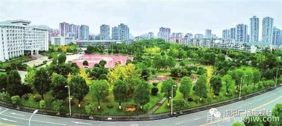 百萬(wàn)月季進(jìn)城，南陽(yáng)全力以赴創(chuàng  )建國家生態(tài)園林城市(圖3)