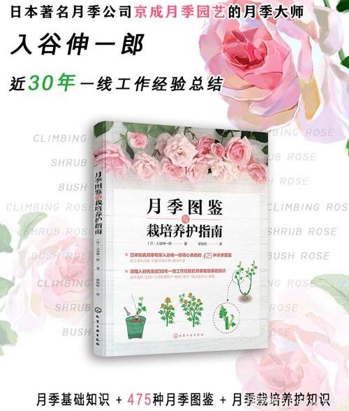 月季圖書(shū)：入谷伸一郎《月季圖鑒與栽培養護指南》(圖1)