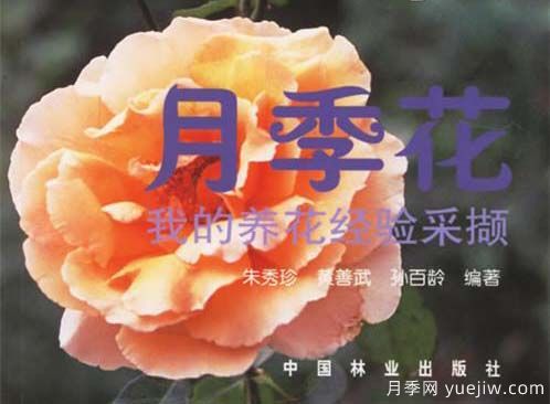月季圖書(shū)：朱秀珍《月季花:我的養花經(jīng)驗采擷》(圖1)