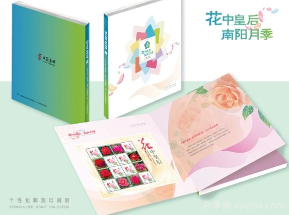 “國家名片”上綻放南陽(yáng)月季(圖1)