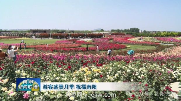 南陽(yáng)世界月季大觀(guān)園：游客盛贊月季 祝福南陽(yáng)(圖2)