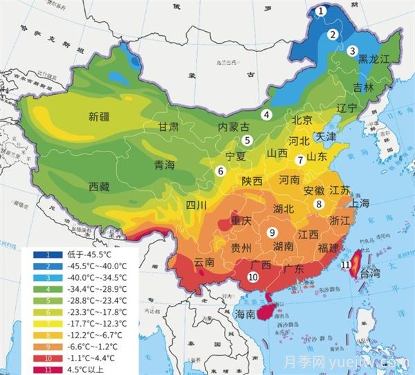 十月月季南北養護大不同？(圖1)