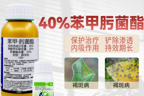 月季打藥怎么配？稀釋很難嗎？(圖1)