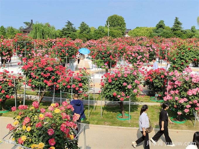園林綠化養護管理工作流程(圖2)
