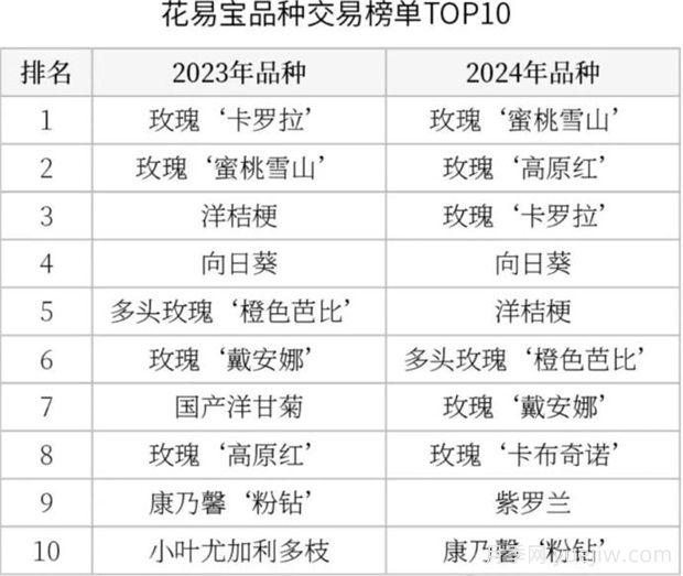 云南鮮切花產(chǎn)業(yè)，一起期待光明的到來(lái)(圖3)