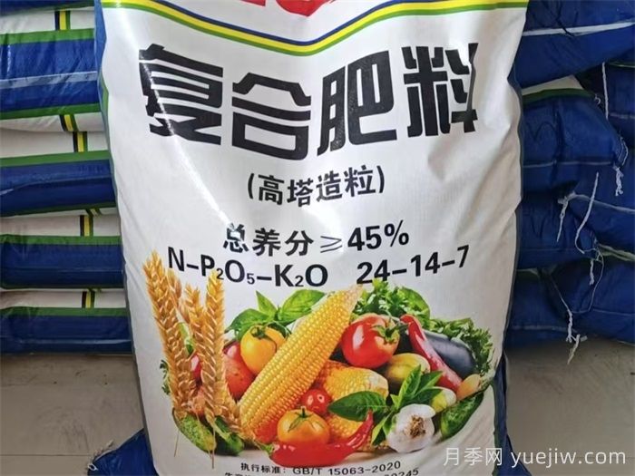月季花肥料怎么選用好？(圖1)