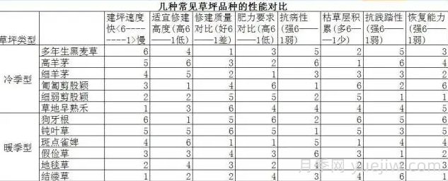 草坪品種及性能對比，收藏學(xué)習(圖2)